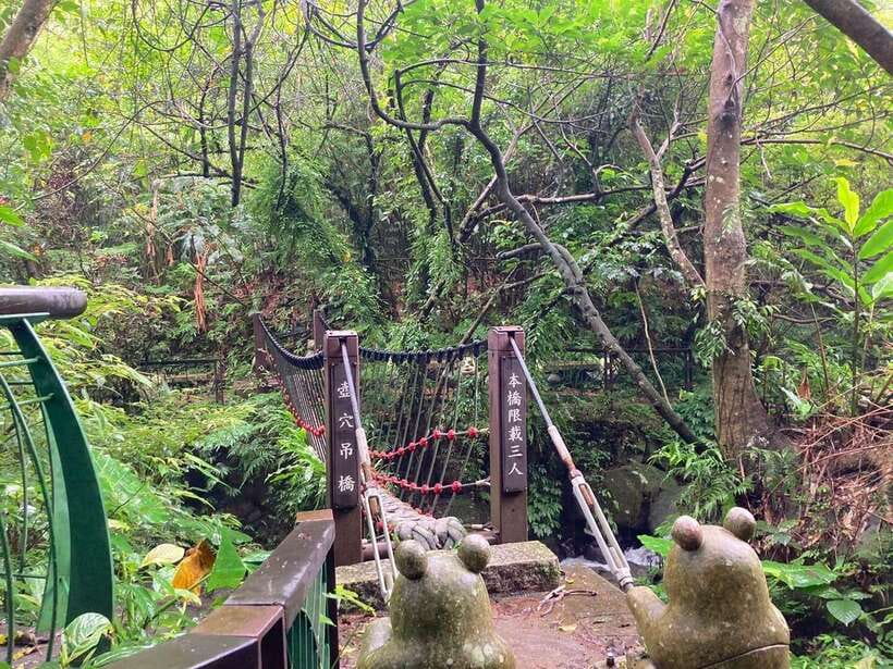 From Taipei: Pinglin Tea Culture and Maokong Guided Day Tour - Thousand Island Lake and the Bagua Tea Plantation