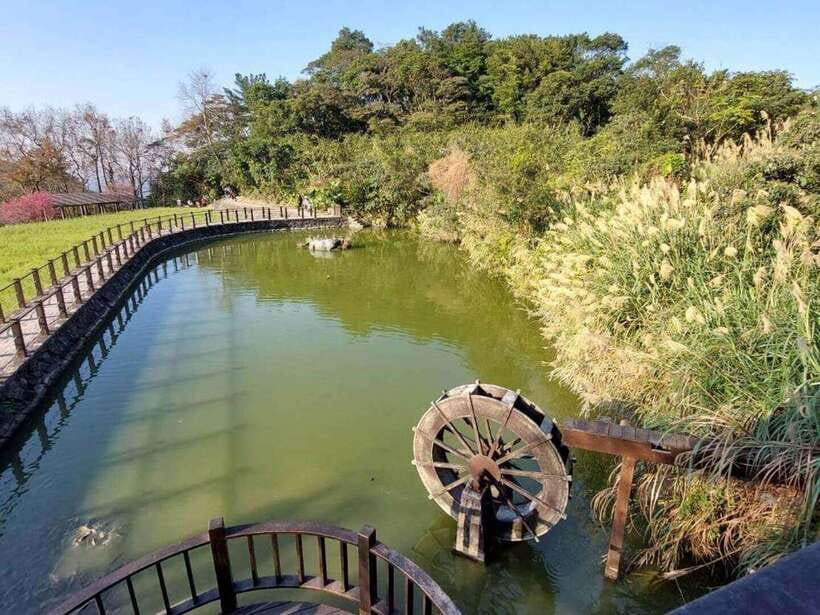 From Taipei: Pinglin Tea Culture and Maokong Guided Day Tour - Pinglin Tea Museum in a Hokkien courtyard