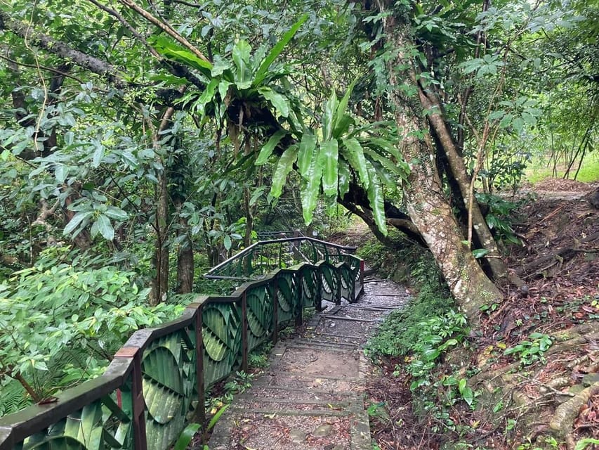 From Taipei: Pinglin Tea Culture and Maokong Guided Day Tour - The Pinglin tea tasting is the day’s central experience