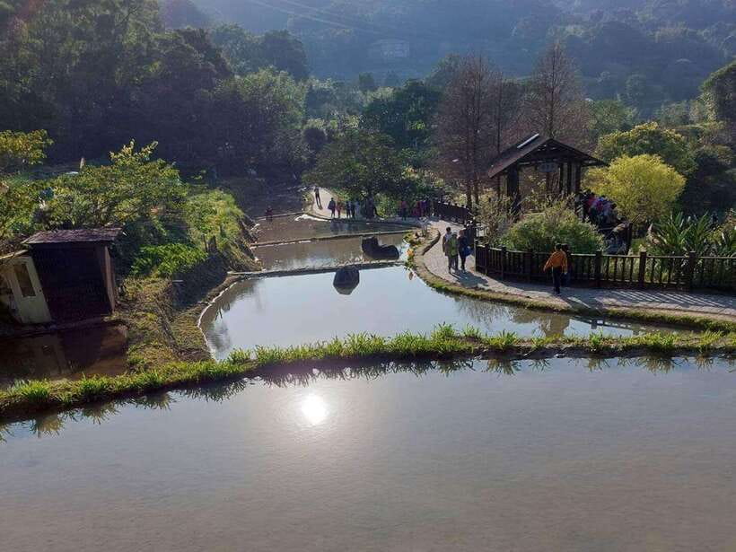 From Taipei: Pinglin Tea Culture and Maokong Guided Day Tour - Pinglin Old Street and the ride back to Taipei