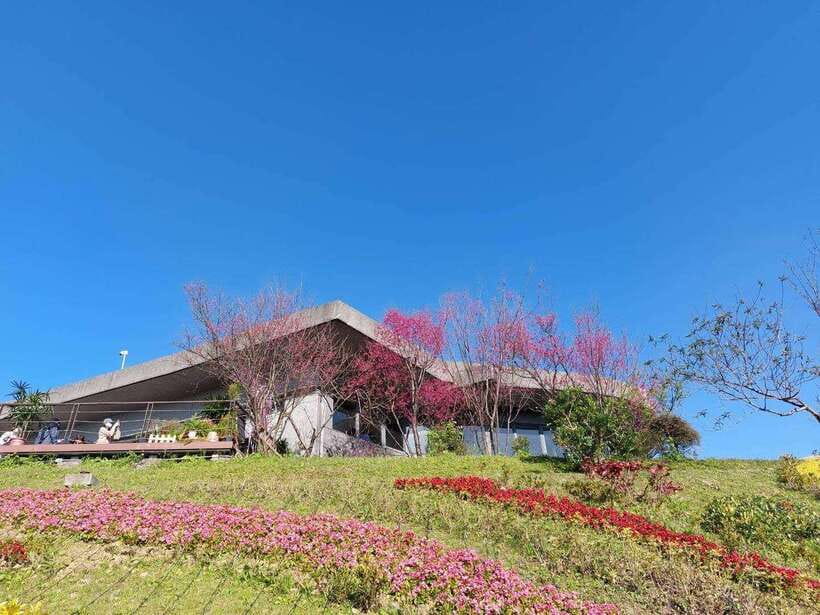 From Taipei: Pinglin Tea Culture and Maokong Guided Day Tour - Is $65 good value for a nine-hour day?