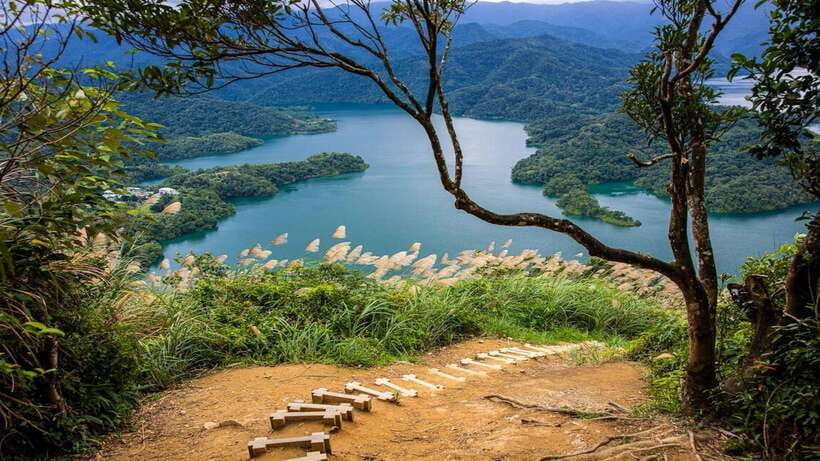 From Taipei: Thousand-Island Lake & Tea Museum Private Tour - Reading the tea fields at Bagua Plantation