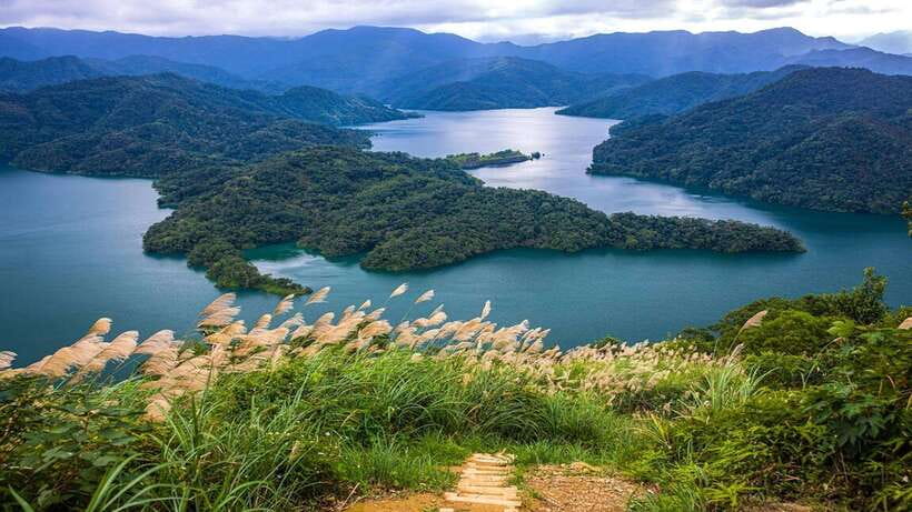 From Taipei: Thousand-Island Lake & Tea Museum Private Tour - Should you book this Thousand Island Lake tea tour?