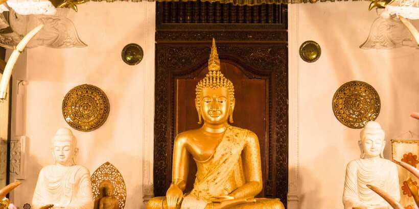 From west coast: Kandy, Tooth temple, Botanical & Tea garden - Spices, herbs, and the story behind Sri Lankan food
