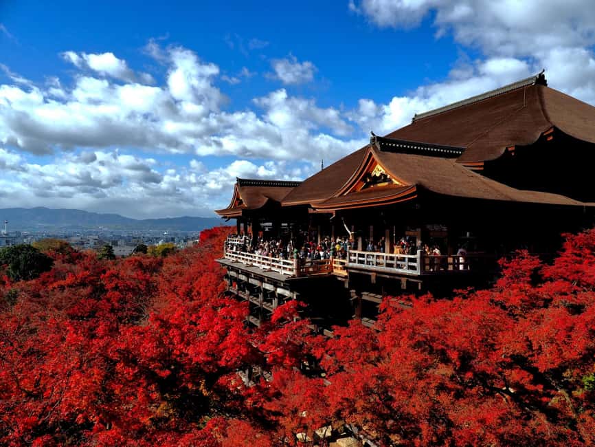 FromOsaka:KatsuojiTemple,Kiyomizudera,Arashiyama,Matcha - Lunch at Kyoto Wasabi Arashiyama