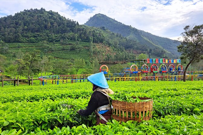 Full-Day Adventure: Tea Plantation & the Mystical Dieng Plateau - Arjuna Temple and old Javanese stonework