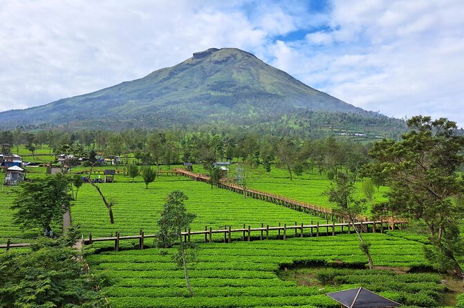 Full-Day Adventure: Tea Plantation & the Mystical Dieng Plateau - Weather, timing, and the long road