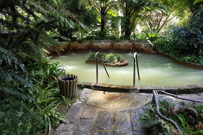 Full-Day Furnas Tour: Hot Springs, Traditional Lunch & Tea - The guide and small-group advantage