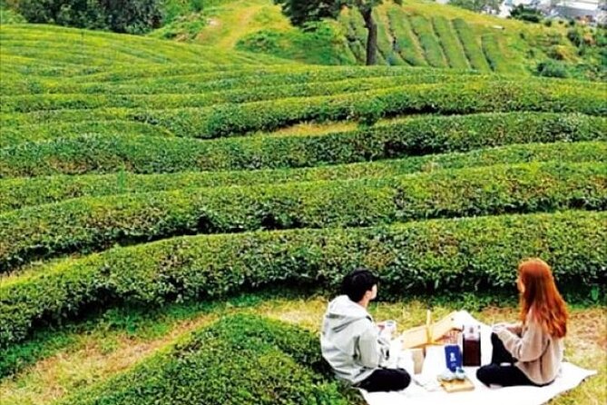 Full-day Hadong, Gwangyang, Cherry blossom, Green Tea Fields Private Tour - Hadong Tea Museum and the story of Korean tea