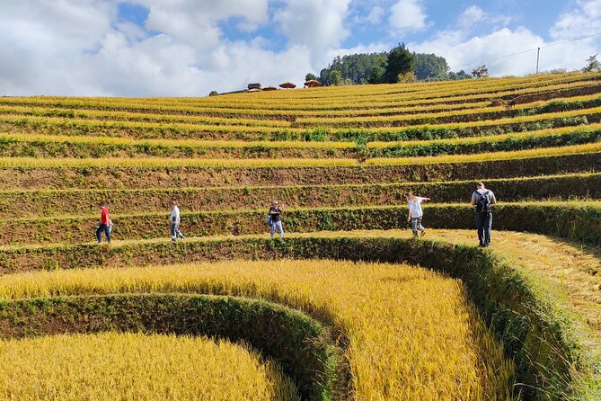 Full day motorbike Mu Cang Chai - La Pan Tan and Doi Mam Xoi