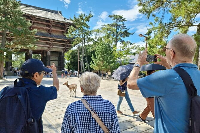 Full Day Nara Deer, Temple, Shrine, Activities & Tea Ceremony - Origami, calligraphy, and the possible costume photoshoot