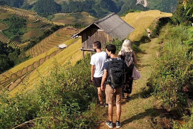 Full Day Private Trekking Mu Cang Chai - Starting From La Pan Tan and Mu Cang Chai