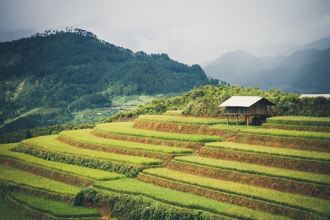 Full Day Private Trekking Mu Cang Chai - A Local Lunch Break