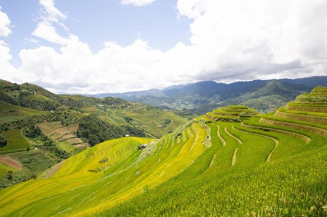Full Day Private Trekking Mu Cang Chai - What the Private Group Format Really Means