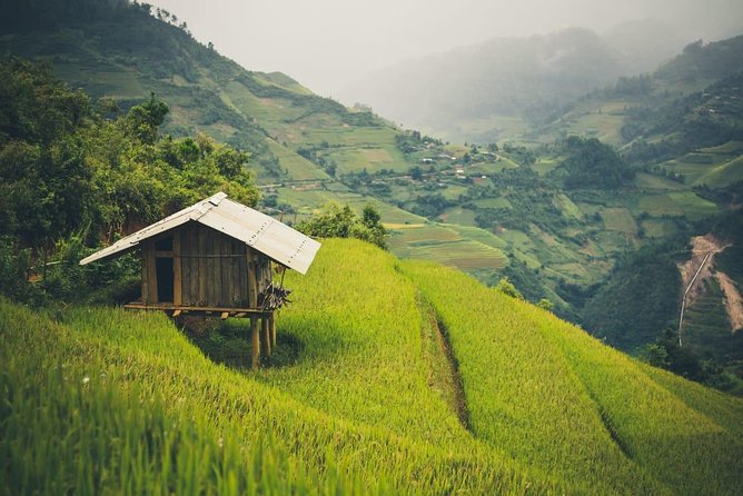 Full Day Private Trekking Mu Cang Chai - Is $80 Good Value?