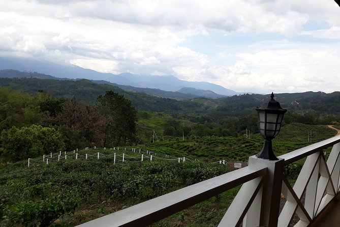Full Day Sabah Tea Plantation & WWII Memorial - Why this mountain day is different