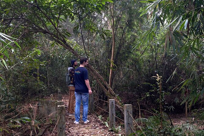 Full Day Sreemangal Tea Garden & National Park Hiking Tour - Why Sreemangal works so well for a full day