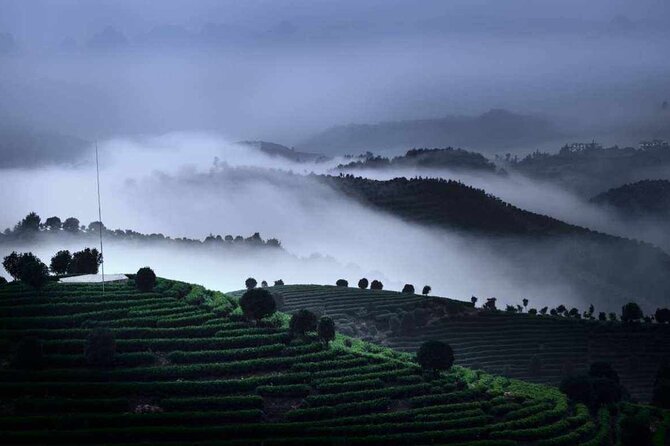 Full-day Tour: Spectacular Sunrise, Tea Plantation & Sunset - What private transport and a small group mean