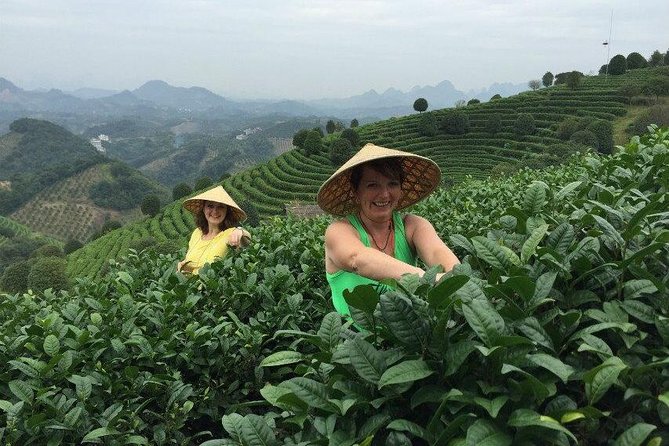 Full-day Tour: Spectacular Sunrise, Tea Plantation & Sunset - What the $175 price really covers