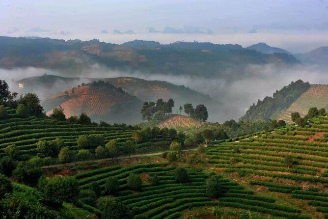 Full-day Tour: Spectacular Sunrise, Tea Plantation & Sunset - Who should book this experience