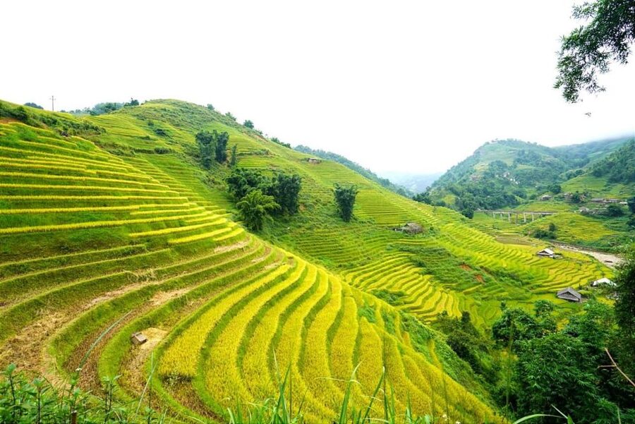 Full Day Trekking Lao Chai-Ta Van and Cat Cat Village - Key points at a glance