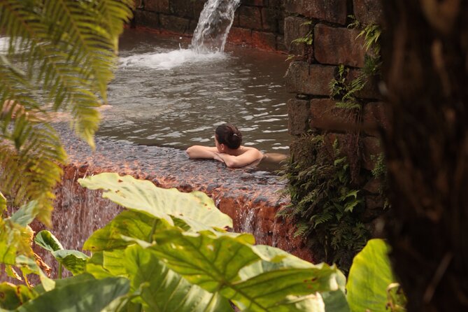Furnas in a Private Evening - Tea, Cozido Dinner and Hot Springs - Gorreana tea to start the afternoon