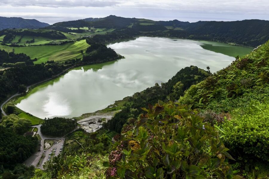 Furnas: Tea Plantations, Lake and Volcano Guided Tour - Key points at a glance