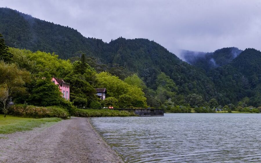 Furnas: Tea Plantations, Lake and Volcano Guided Tour - The Azorean pineapple plantation