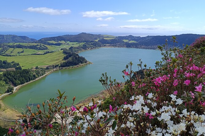 Furnas Vale, Gorreana Tea Factory Private Van Tour - Key points to know before booking