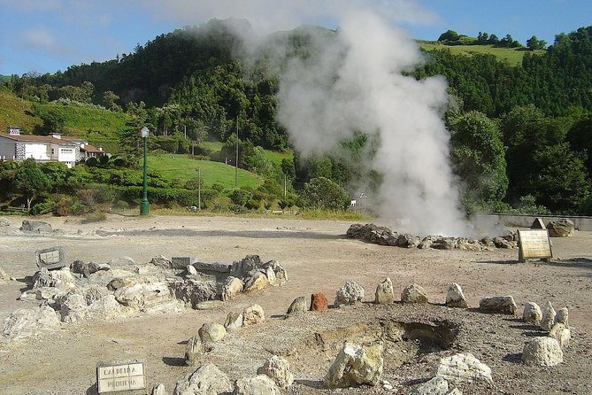 Furnas Volcano & Tea Plantation With Traditional Lunch, East Tour - Gorreana shows how tea grows in the Azores