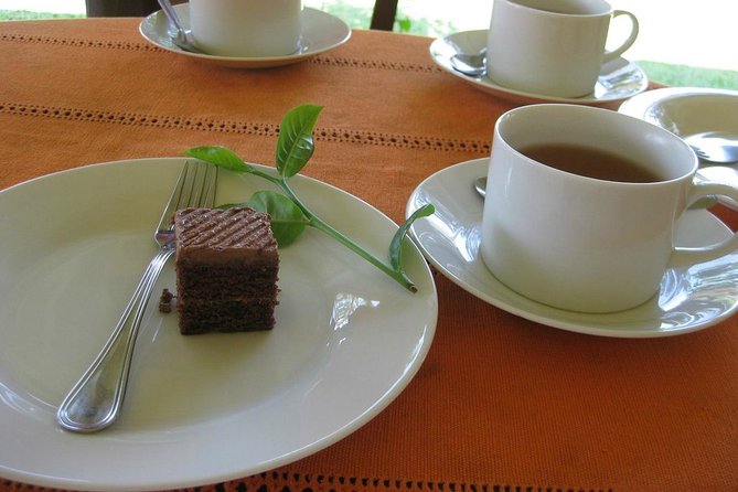 Galle Day Tour and Tea Plantation from Bentota & Other Places - Walking Galle Dutch Fort for two hours