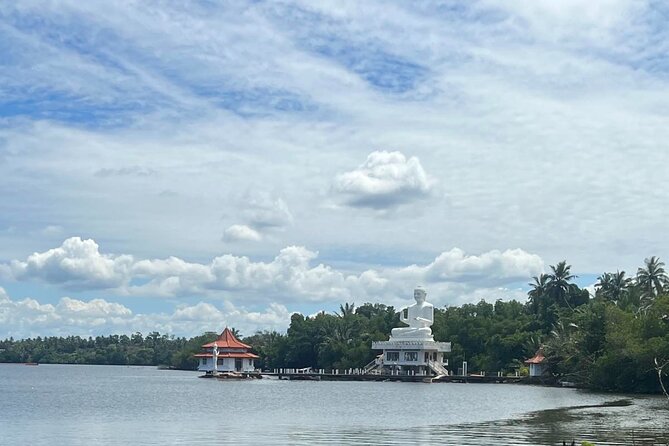 Galle Day Tour with River Safari, Tea Plantation & Sea Turtle - What the turtle conservation visit adds