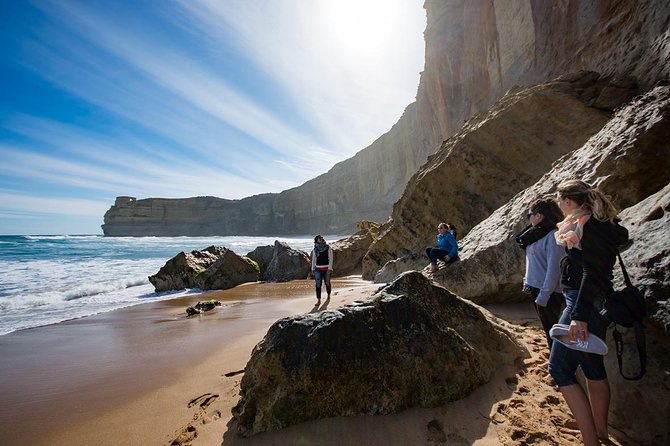 Great Ocean Road, 12 Apostles, Rainforest & Morning Tea-Melbourne - Walking through Great Otway National Park