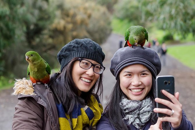 Great Ocean Road, 12 Apostles, Rainforest & Morning Tea-Melbourne - Loch Ard Gorge and the shipwreck coast