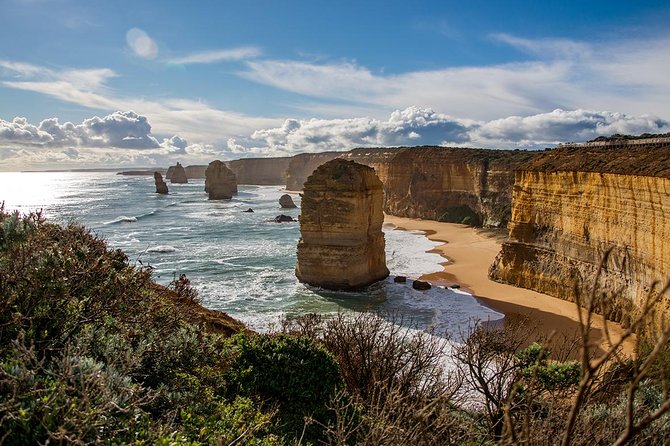 Great Ocean Road, 12 Apostles, Rainforest & Morning Tea-Melbourne - The long return through Colac