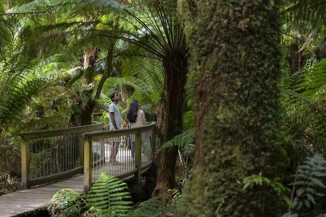 Great Ocean Road, 12 Apostles, Rainforest & Morning Tea-Melbourne - Anglesea and the Memorial Arch