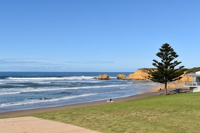Great Ocean Road Tour Plus Koalas, Forest Walk and Morning Tea - Gibsons Steps brings the Twelve Apostles down to sea level
