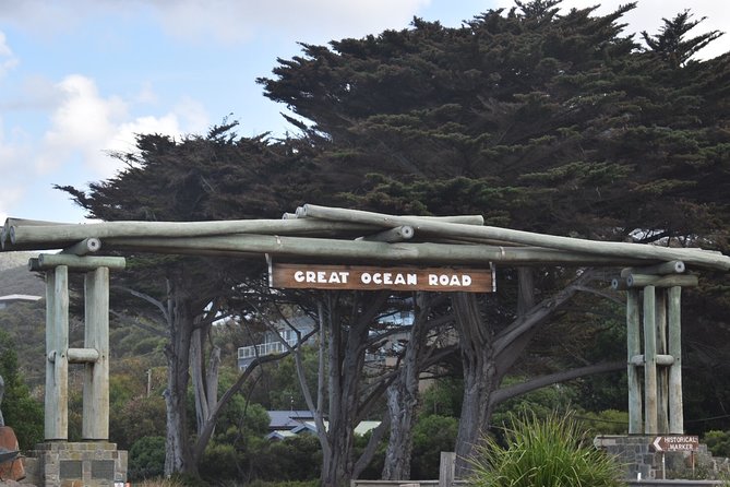 Great Ocean Road Tour Plus Koalas, Forest Walk and Morning Tea - Cape Patton offers one last wide view