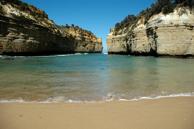 Great Ocean Road Tour Plus Koalas, Forest Walk and Morning Tea - Apollo Bay gives you a proper break