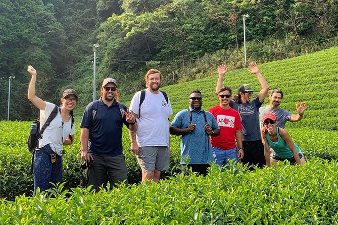 Guided Bike Tour to a Green Tea Farm in Shizuoka (not e-bikes) - What $175.60 Means in Practical Terms