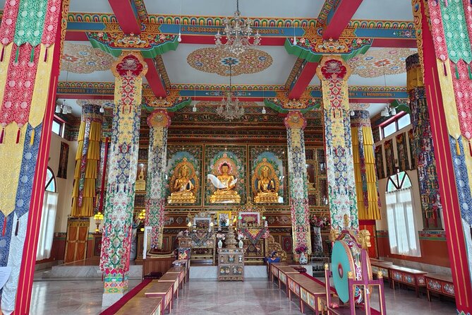Guided Day Tour to Bir – Monasteries,Temple & Tea Garden Visit - Tea gardens, Palampur, and the rural scenery