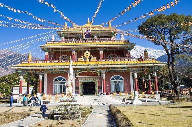 Guided Tour to Palampur-Monasteries, Temple & Tea Gardens visit - Key points at a glance