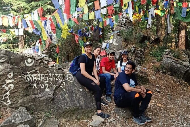 Guided Tour to Palampur-Monasteries, Temple & Tea Gardens visit - Dorzong Monastic Institute and the Dhauladhar setting