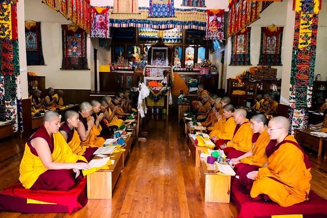 Guided Tour to Palampur-Monasteries, Temple & Tea Gardens visit - Price, group size, and practical value