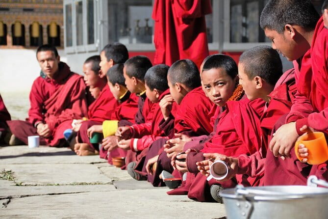 Guided Tour to Palampur-Monasteries, Temple & Tea Gardens visit - Starting from Dharamsala