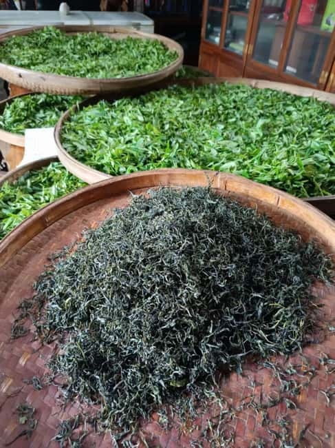 Guilin: City Tour with Elephant Hill & Ming Tea Tasting - The Short Ride to Yao Mountain’s Tea Plantation