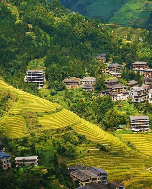 Guilin Longji: Rice Terrace with Oil-Tea Demo & Zhuang Lunch - Making Longji oil tea with local ingredients