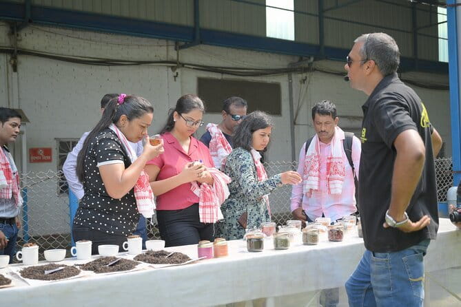 Guwahati Tea Garden tour @ Amchong - The Amchong nursery begins with tea at its youngest stage