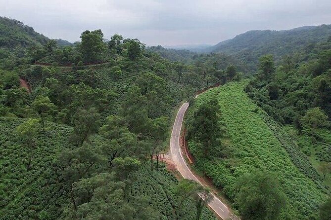 Guwahati Tea Garden Tour with Lunch & Hi Tea (Premium Experience) - Starting the Morning at Amchong Tea Estate