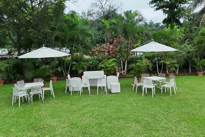 Guwahati Tea Garden Tour with Lunch & Hi Tea (Premium Experience) - What $28.08 Really Gets You